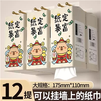悬挂式抽纸家用纸巾整箱实惠装卫生纸厕纸巾可湿水